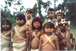 Equadorial Children